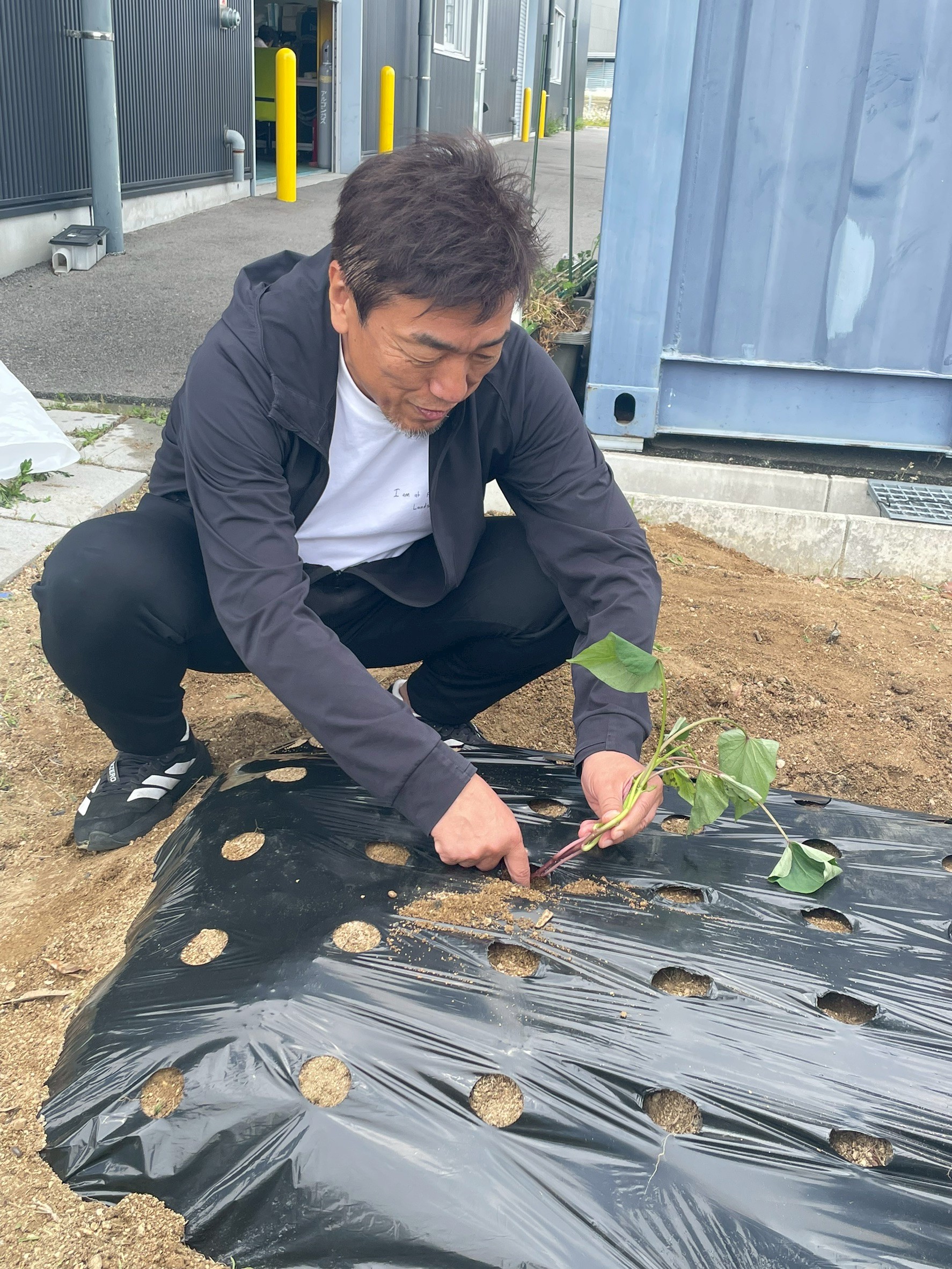 植える社長