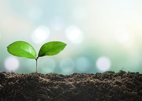 環境対応とデザイン性を両立！シュリンク包装で実現するモノマテ化
