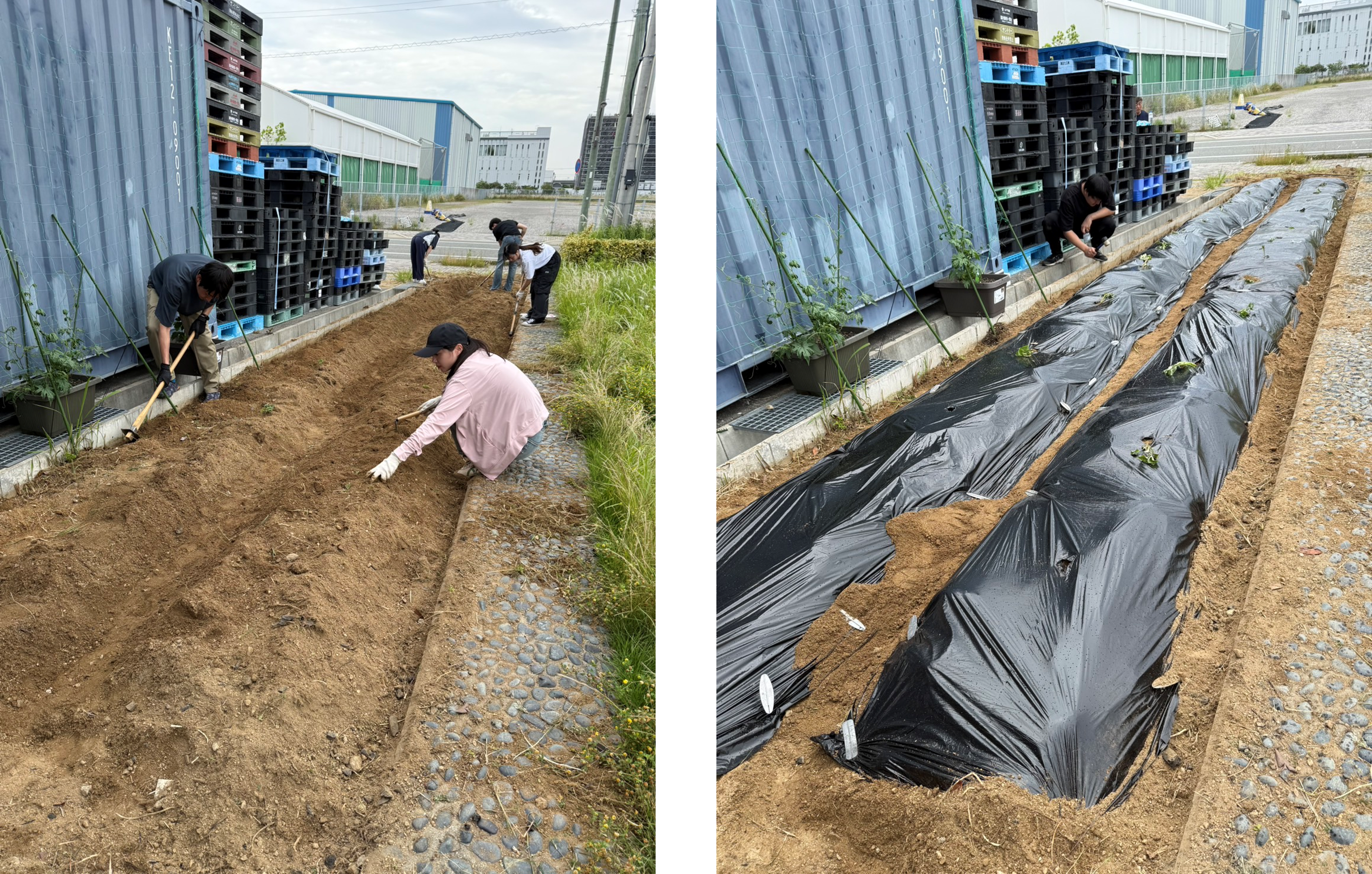 beforeafter